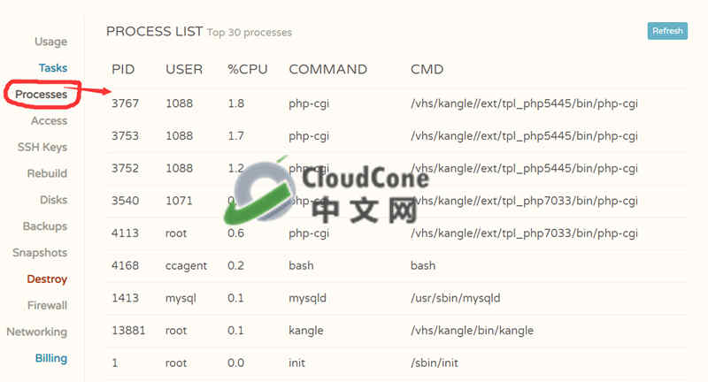 在CloudCone VPS上启用Cloud View查看进程、硬件分析 - CloudCone - CloudCone中文网，国外VPS，按小时计费，随时退款